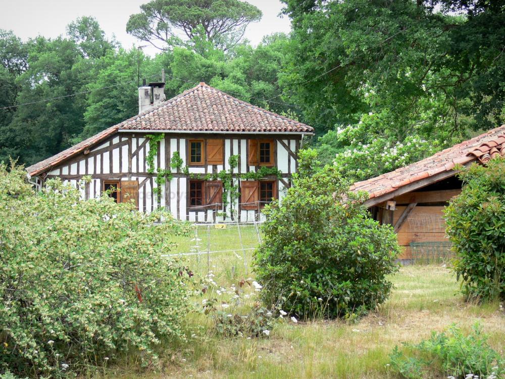 Landes de Gascogne地区自然公园 - 树木环绕的半木结构房屋