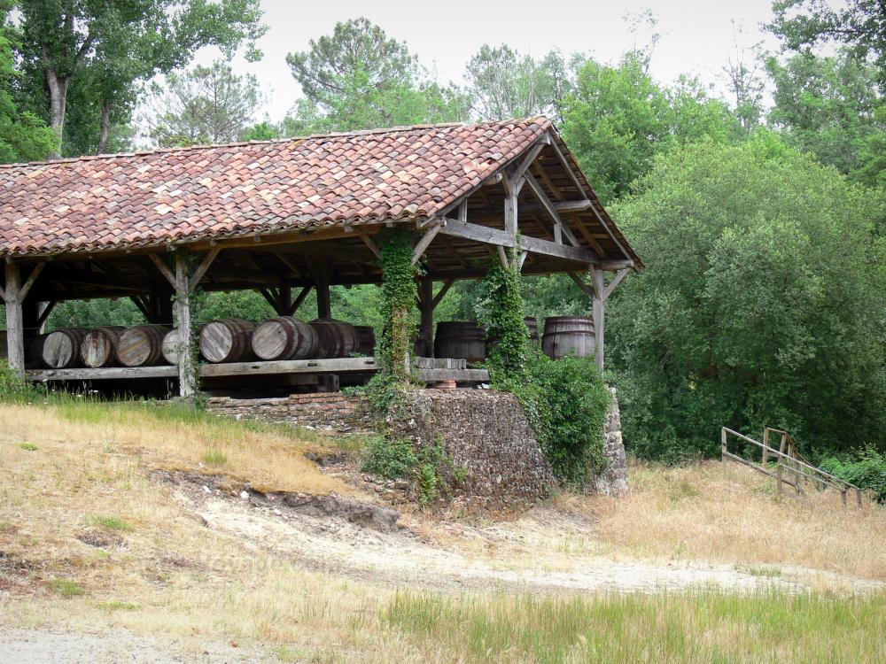 Landes de Gascogne地区自然公园 - Luxey Softwoods Workshop - Great Moorland Ecomuseum:来自前松树脂酿酒厂的桶