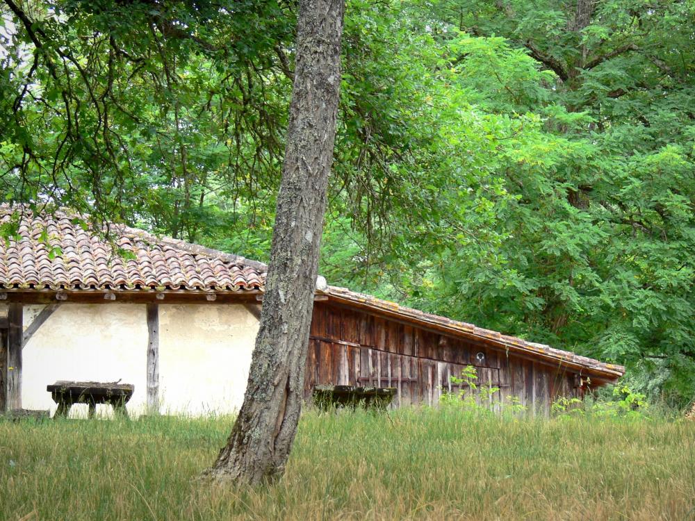 Landes de Gascogne地区自然公园 - Luxey软木产品工作坊 - Great Moor Ecomuseum