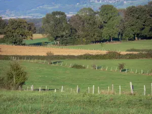 Landscapes of the Ain - Fields surrounded by fences and trees 