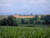 Landscapes of Alsace