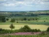 Landscapes of the Ardennes
