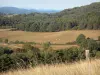 Landscapes of Ariège - Field, trees, pastures, forest and hills