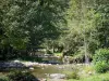 Landscapes of Ariège - Orlu valley (Oriège valley): Oriège river lined by trees