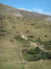 Landscapes of Ariège - Mountain pasture in Port de Lers; in the Ariège Pyrenees Regional Nature Park