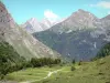 Landscapes of the Béarn - Path lined with meadows and view of the Pyrenees Mountains