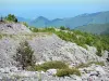 Landscapes of the Béarn - View from a mountain road