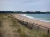 Landscapes of the Brittany coast - Emerald Coast: beachgrass (psammophytes), sandy beach, sea and coast