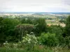 Landscapes of Burgundy - View of Nivernais from the top of the Montenoison butte