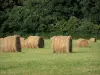 Landscapes of Burgundy - Hay bales in a meadow