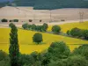 Landscapes of Burgundy - Fields, trees and forest