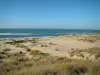 Landscapes of the Charente-Maritime coast