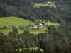 Landscapes of the Doubs - Chalets (houses) surrounded by alpine pastures (high mountain pasture) and trees