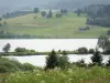 Landscapes of the Doubs - Remoray lake (National Nature reserve), wild flowers, trees and prairies