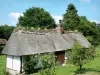 Landscapes of the Eure - Thatched cottage and its garden in Vieux-Port (on the Thatched Cottage Route)