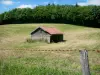 Landscapes of the Eure - Thatched cottage in the middle of a field