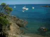 Landscapes of the French Riviera coast - Pine tree, Mediterranean vegetation, cliffs and the Mediterranean sea with boats