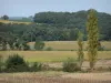 Landscapes of the Gascony - Fields and trees 