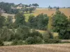 Landscapes of the Gascony - Trees and fields 