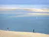 Landscapes of the Gironde - Views of the Banc d'Arguin National Nature Reserve, at the entrance of the Arcachon basin, from the top of the Pilat dune 