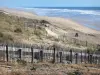 Landscapes of the Gironde - Silver Coast: beaches in the resort of Lacanau 