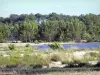 Landscapes of the Gironde - Lake Lacanau and pine forest 