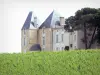 Landscapes of the Gironde - Vineyards of Bordeaux: Chateau d'Yquem and its vines, winery in Sauternes 