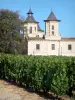 Landscapes of the Gironde - Vineyards of Bordeaux: Chateau Cos d'Estournel and vineyards, winery in Saint-Estèphe in the Médoc 