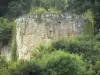 Landscapes of the Haute-Marne - Puits tower, remains of the Vignory castle, surrounded by greenery