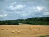 Landscapes of the Haute-Saône - Field with straw bales, trees in a forest and clouds in the sky