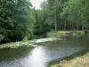 Landscapes of the Haute-Saône - River with water lilies and trees in a forest along the water