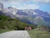 Landscapes of the Hautes-Alpes - Napoleon road with view of trees and mountains