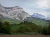 Landscapes of the Hautes-Alpes - Mountains, forest and trees