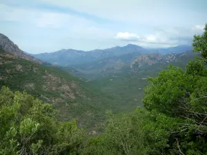 Landscapes of the inland Corsica - Trees, mountains and clouds in the sky