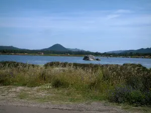 Landscapes of the inland Corsica - Grassland, wild flowers, river and hills