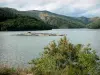 Landscapes of the Lozère - Villefort Lake and its green surrounding