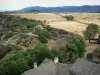Landscapes of the Lozère - Cévennes National Park: view from the top of the watchtower of La Garde-Guerin (town of Prévenchères)