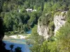 Landscapes of the Lozère - Tarn gorges - Cévennes National Park: rock walls and River Tarn lined by trees