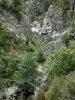 Landscapes of the Lozère - Gorges Tapoul - Cévennes National Park: River Trépalous, rocks and trees