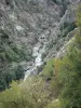 Landscapes of the Lozère - Altier gorges - Cévennes mountains: River Altier, rock walls and trees