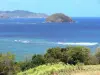 Landscapes of Martinique - View Islet St. Aubin and the Atlantic Ocean from the Caravelle peninsula