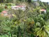 Landscapes of Martinique - Houses in lush nature