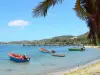 Landscapes of Martinique - Caravelle peninsula: Bay of Tartane with its pontoon and small colorful fishing boats