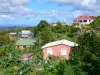 Landscapes of Martinique - Regional Park of Martinique: houses in a green