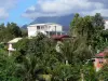 Landscapes of Martinique - Houses surrounded by greenery
