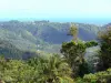 Landscapes of Martinique - Green hills