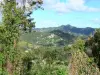 Landscapes of Martinique - Small green hills dotted with houses