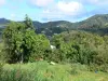 Landscapes of Martinique - Small green hills dotted with houses
