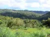 Landscapes of Martinique - Small green hills