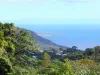 Landscapes of Martinique - Green coast